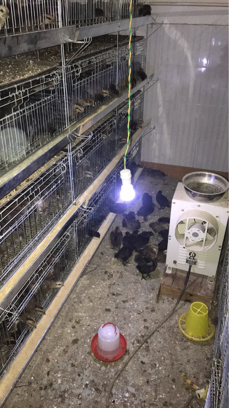 344_颜色分类：3KW#220V_2019-09-21_旭优旗舰店_ 追评图_1.jpg