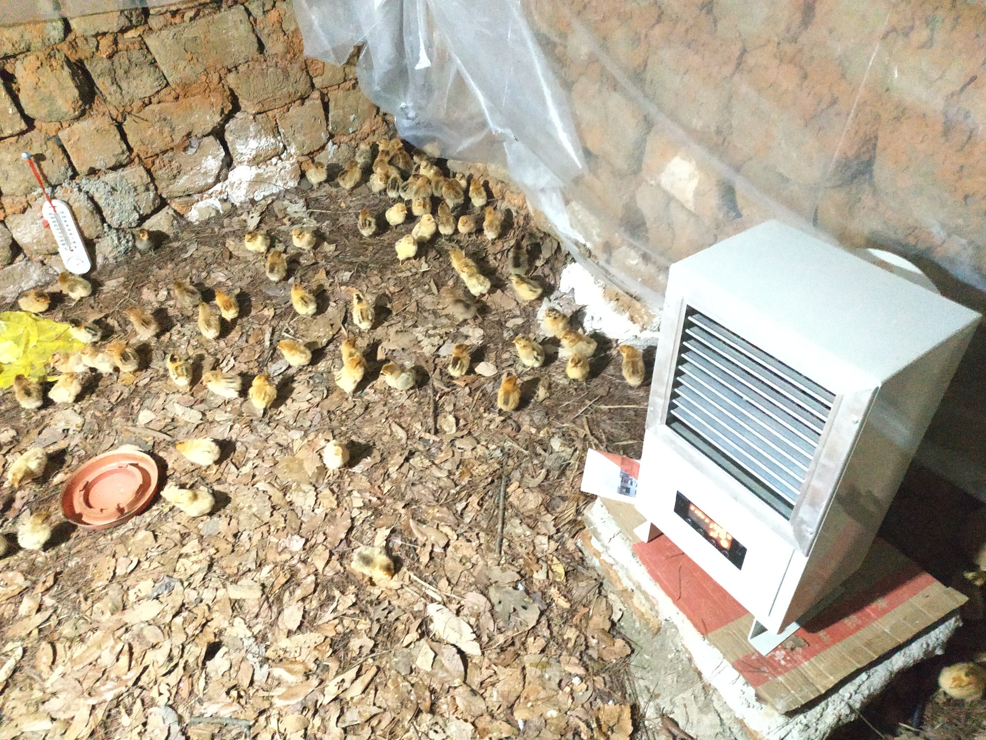 45_颜色分类：4KW#220V_2020-03-26_旭优旗舰店_ 初评图_5.jpg