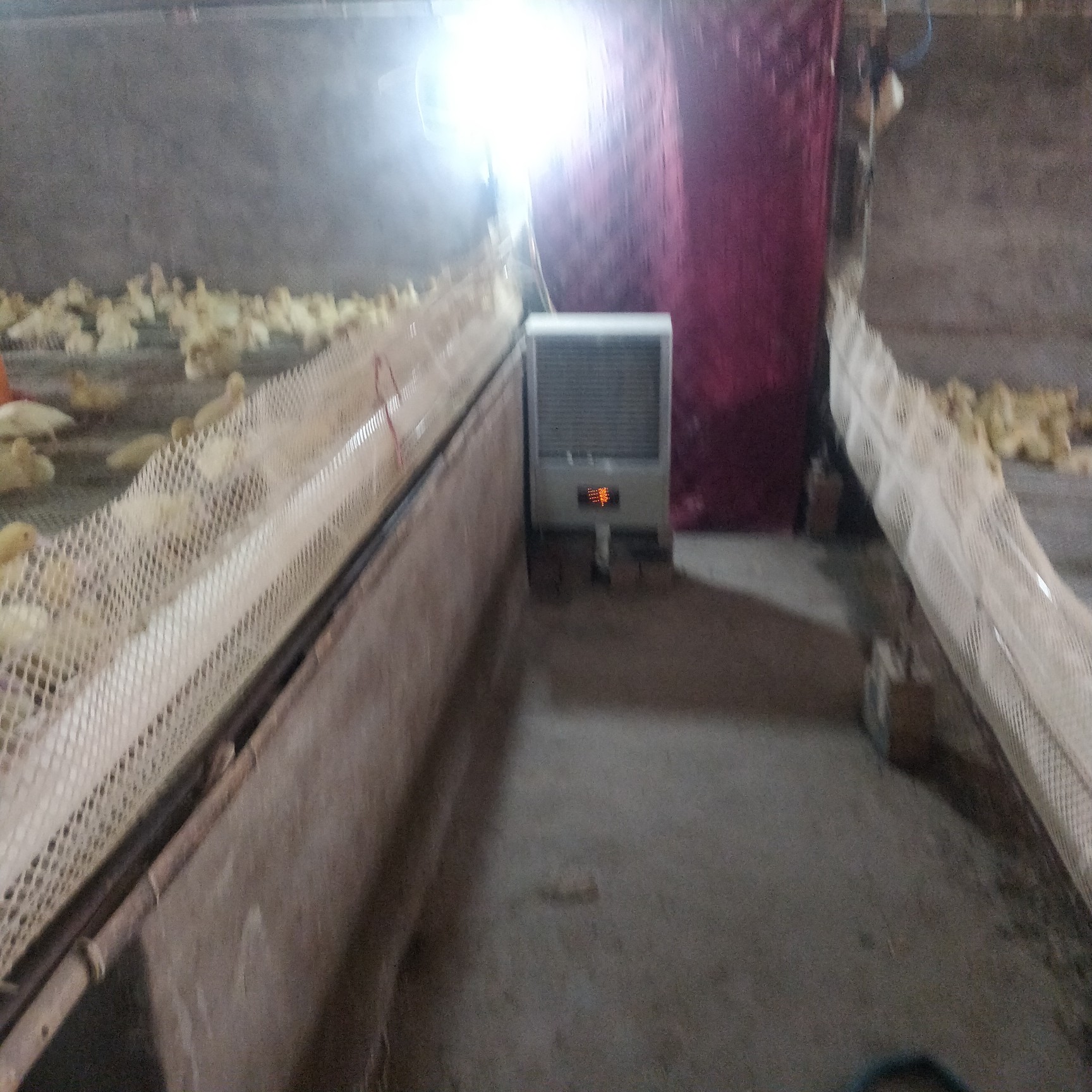 63_颜色分类：15KW#380V_2019-12-11_旭优旗舰店_ 初评图_1.jpg